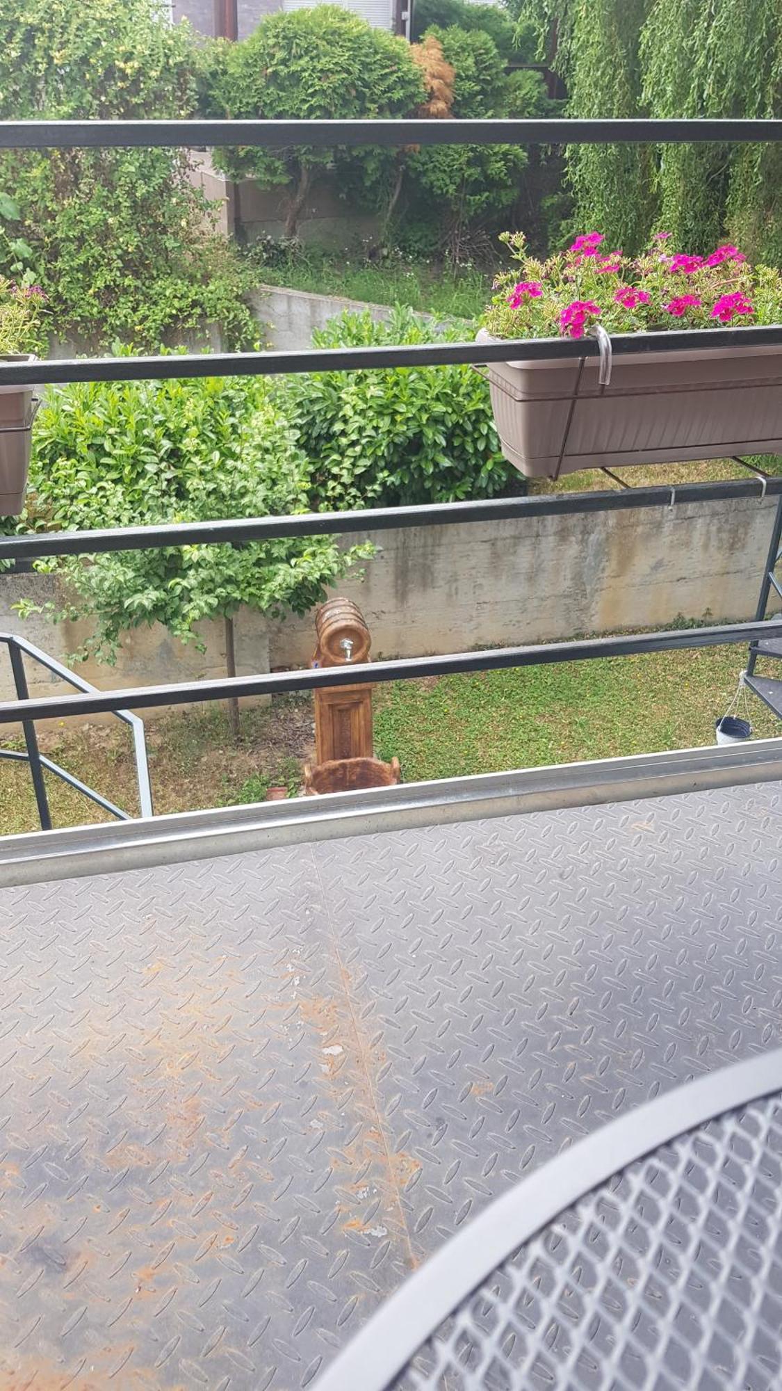 Apartmani V&F Vrnjačka Banja Zimmer foto