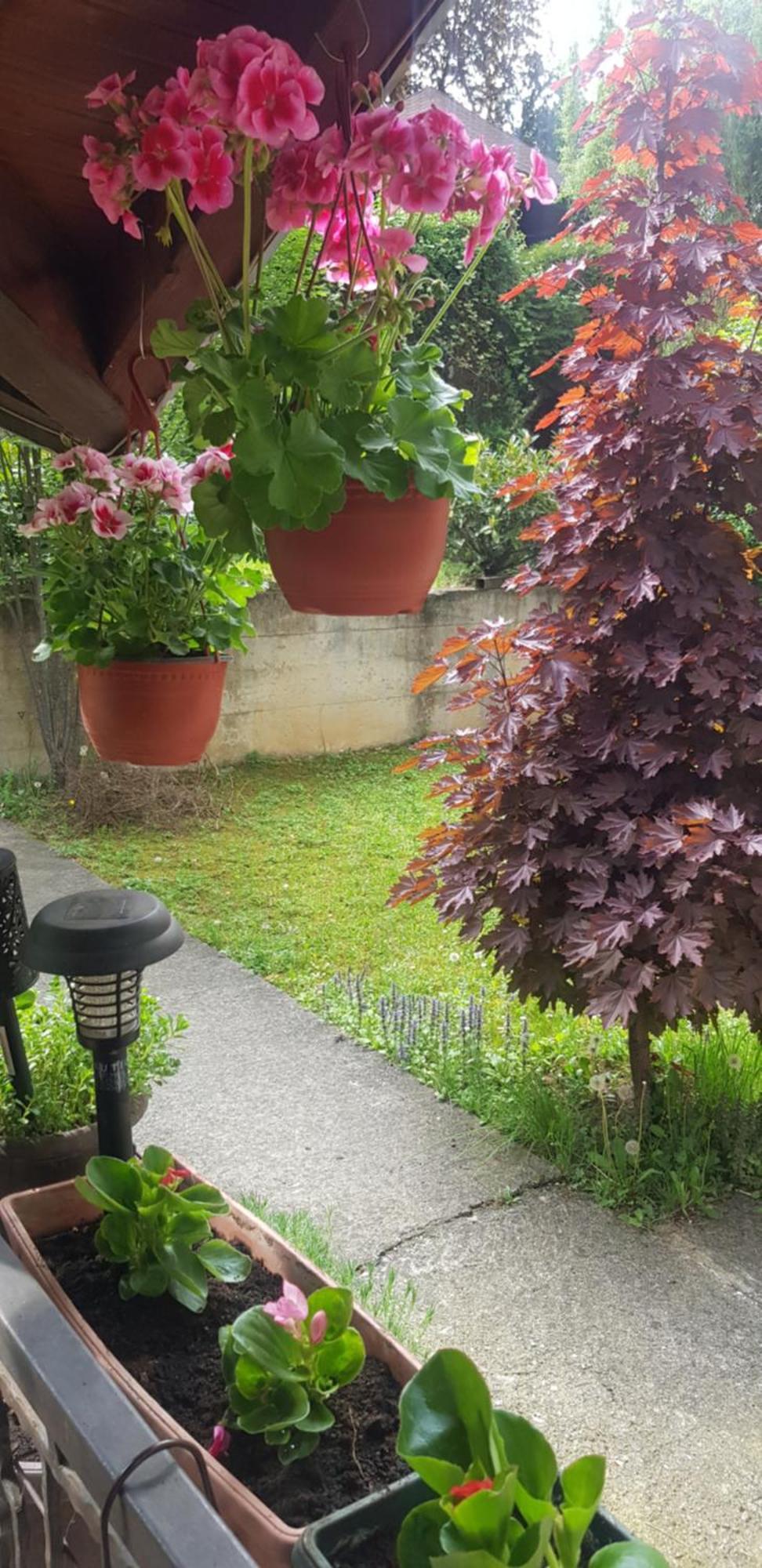 Apartmani V&F Vrnjačka Banja Exterior foto